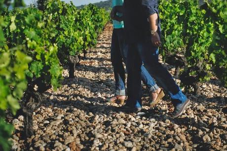 SESIÓN PREBODA ENTRE VIÑEDOS - BODEGA RIBAS -
