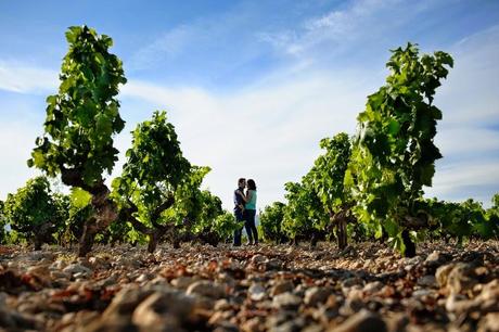 SESIÓN PREBODA ENTRE VIÑEDOS - BODEGA RIBAS -