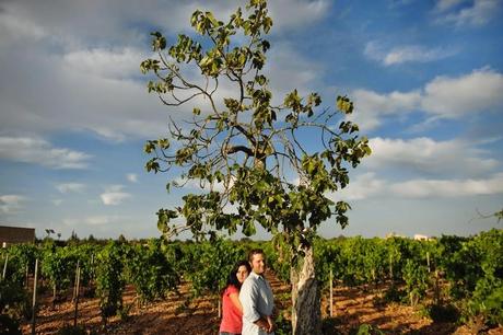 SESIÓN PREBODA ENTRE VIÑEDOS - BODEGA RIBAS -