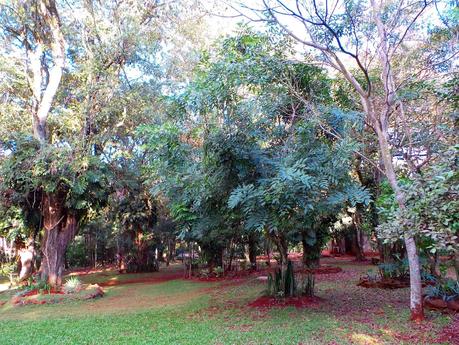 Los Saltos del Monday, la maravilla natural de Paraguay