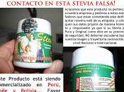 estafen falsa stevia