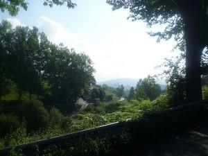 Los puertos de paso de la Vuelta: los puertos escondidos Un túnel arbolado nos acompaña en la ascensión