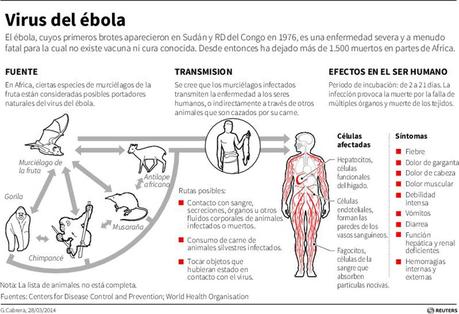 Ebola: La nueva epidemia que aflige al continente africano.