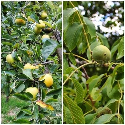 El Rincón de Ademuz, la comarca olvidada de Valencia El Rincón de Ademuz, la comarca olvidada de Valencia