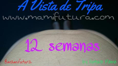 A Vista de Tripa VIII