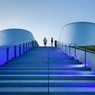 estrellas reveladas 8