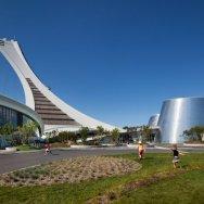 estrellas reveladas 4