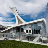 estrellas reveladas 7