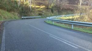 Carretera revirada y con vegetación