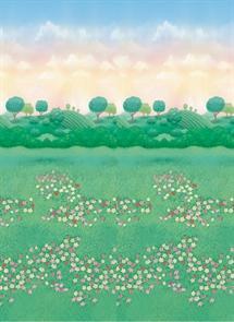 ideas decoración fiesta Pocoyó ideas de la decoración de una fiesta Pocoyó