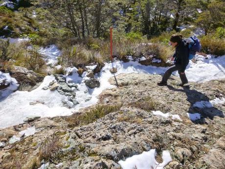 SENDERISMO EN LA ZONA QUEENSTOWN: LAKE HARRIS