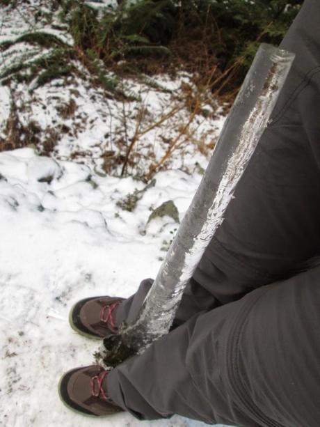 SENDERISMO EN LA ZONA QUEENSTOWN: LAKE HARRIS