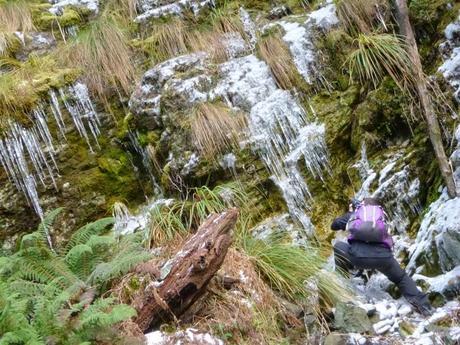 SENDERISMO EN LA ZONA QUEENSTOWN: LAKE HARRIS
