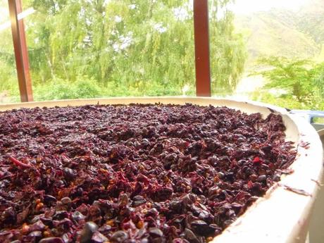 Y DE REPENTE, INVIERNO