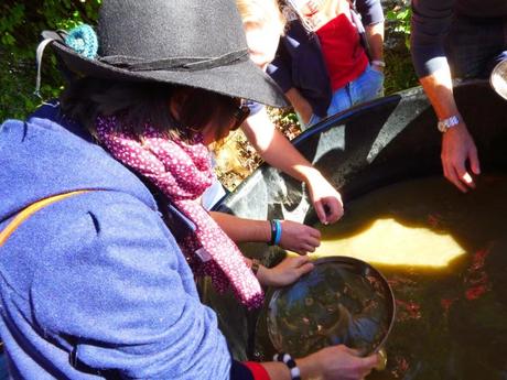 Y DE REPENTE, INVIERNO