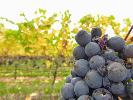 Y DE REPENTE, INVIERNO