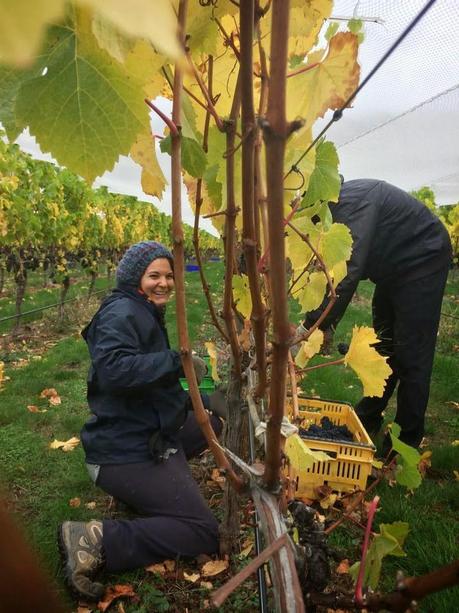 Y DE REPENTE, INVIERNO
