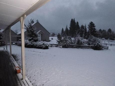 Y DE REPENTE, INVIERNO