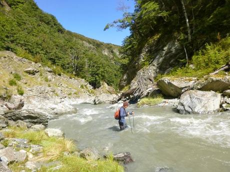 ESPARCIMIENTO EN GLENORCHY