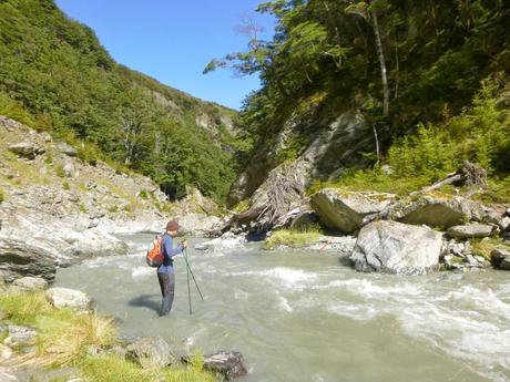 ESPARCIMIENTO EN GLENORCHY