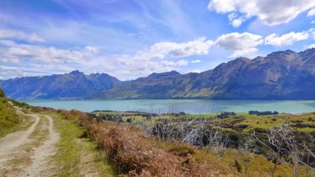 ESPARCIMIENTO EN GLENORCHY