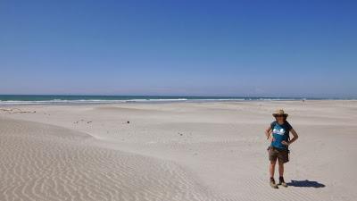 NUEVO COMPAÑERO DE VIAJE