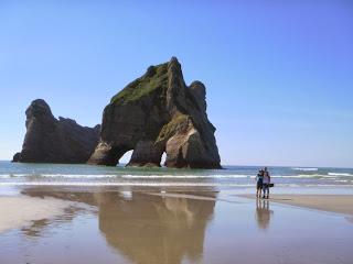 NUEVO COMPAÑERO DE VIAJE