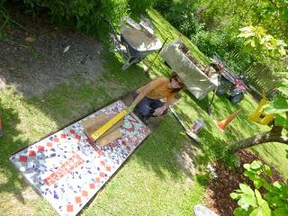 NUEVO COMPAÑERO DE VIAJE