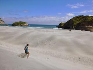 NUEVO COMPAÑERO DE VIAJE