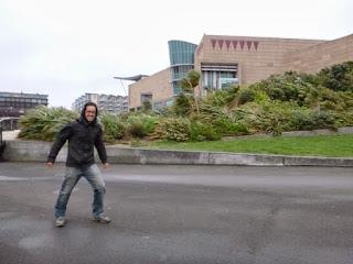 TRES DÍAS EN WELLINGTON