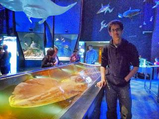 TRES DÍAS EN WELLINGTON