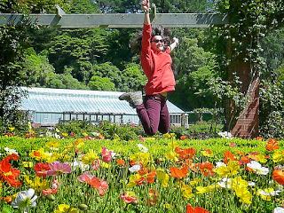 TRES DÍAS EN WELLINGTON