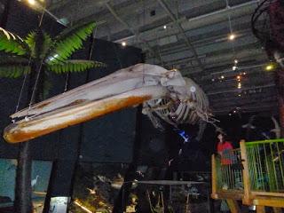 TRES DÍAS EN WELLINGTON