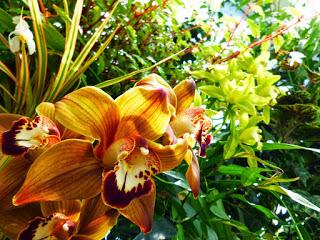 TRES DÍAS EN WELLINGTON