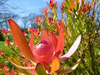 EN SEPTIEMBRE AGUAS MIL