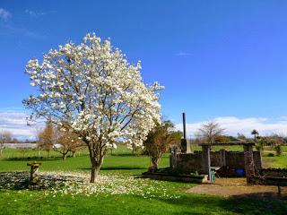 EN SEPTIEMBRE AGUAS MIL