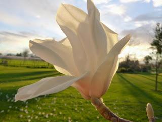 EN SEPTIEMBRE AGUAS MIL