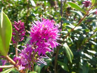 EN SEPTIEMBRE AGUAS MIL