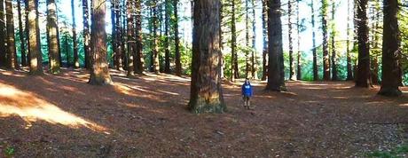 EN SEPTIEMBRE AGUAS MIL