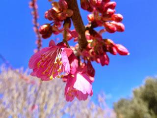 EN SEPTIEMBRE AGUAS MIL