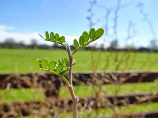 EN SEPTIEMBRE AGUAS MIL