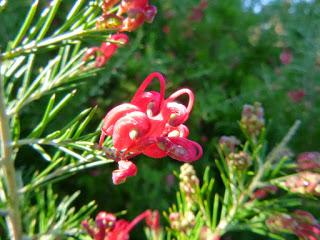 EN SEPTIEMBRE AGUAS MIL