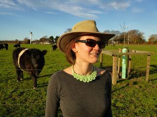 DE LUJO EN HAWKE'S BAY