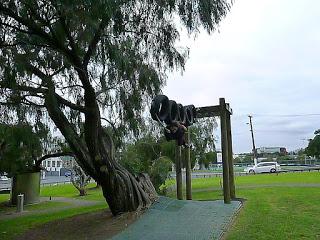 SORTEANDO VOLCANES Y VIENDO ISLAS