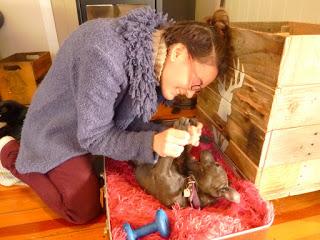 SORTEANDO VOLCANES Y VIENDO ISLAS