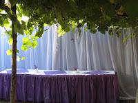 Reunión Familiar en el Rancho El Taita, Curicó, Chile