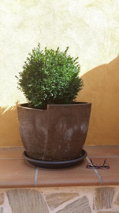 2ª mision: Exteriores con toque