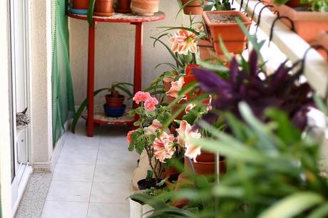 En el balcón balcón_23_20140522 - Version 3