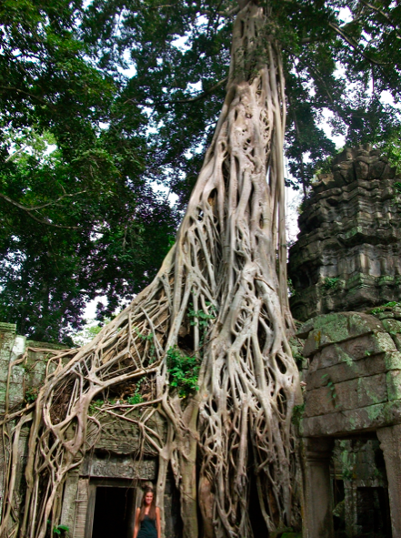 TEMPLOS ANGKOR