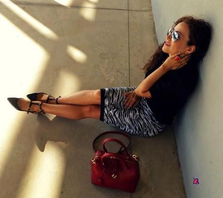 RayasDeCebra-ZebraStripes-Zébrures